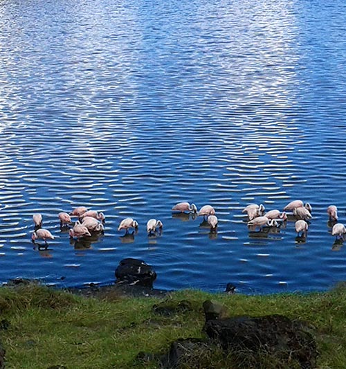 Arusha National Park Hike Day Trip