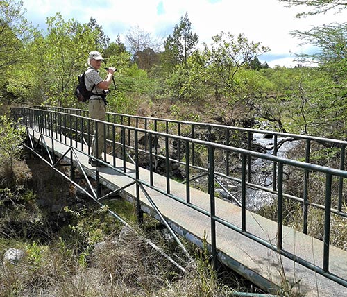 Arusha National Park Day Trip