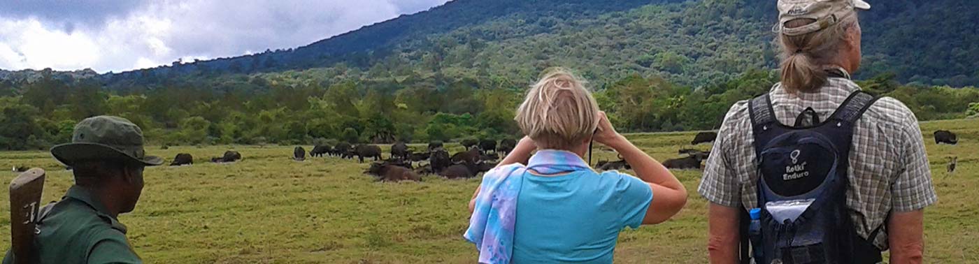 Arusha National Park Hike Day Trip