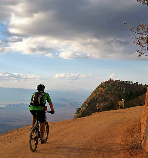 West Kilimanjaro Bike Day Trip