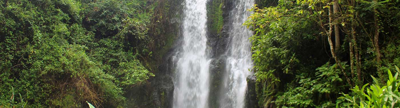 Chagga Village Day Trip