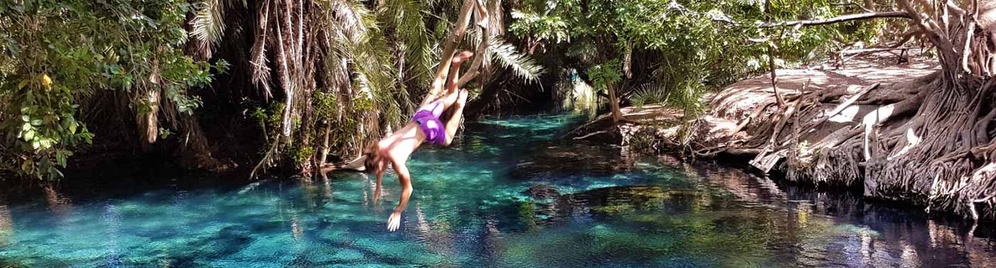 Kikuletwa Hot Spring Day Trip