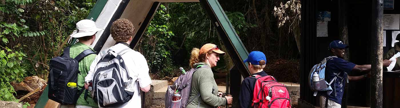 Kilimanjaro Montane Forest Hike Day Trip