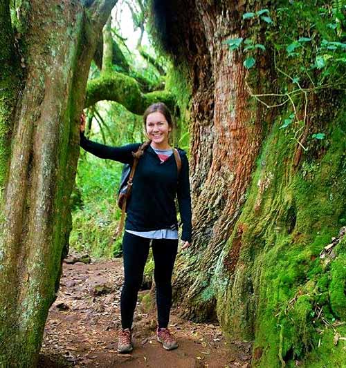 Kilimanjaro Montane Forest Hike Day Trip