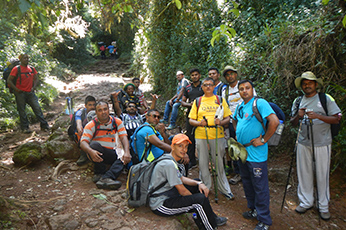 Kilimanjaro Montane Forest Hike Day Trip
