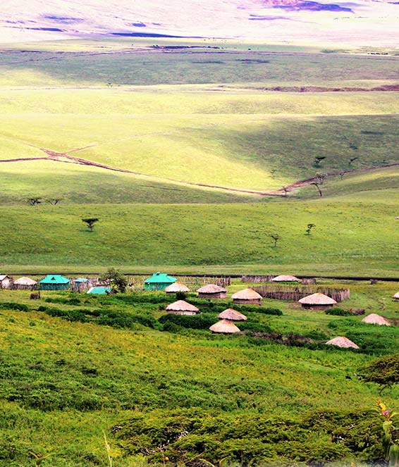 Ngorongoro Crater Day Trip