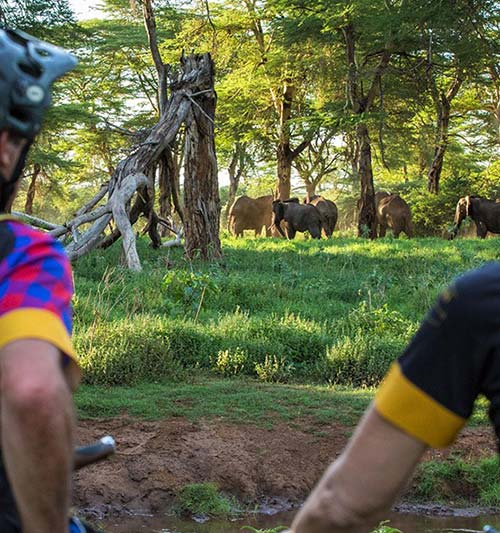 Rau Forest Bike Day Trip