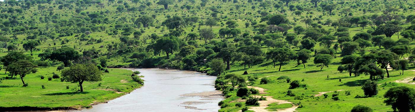 Tarangire National Park Day Trip