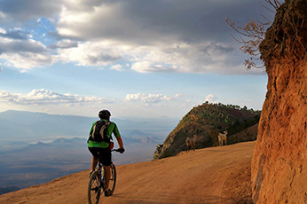 West Kilimanjaro Bike Day Trip