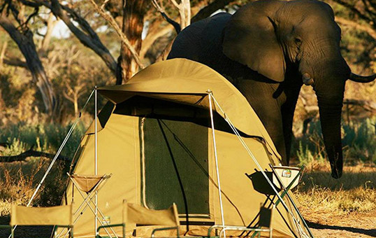 Tanzania Budget Camping Safari