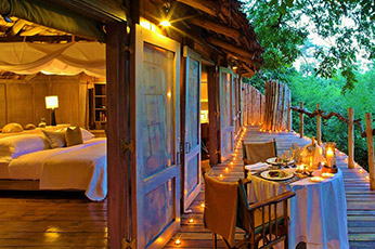 Tanzania Luxury Safari